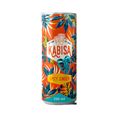 KABISA 100% DRINKS ASSORTED 250ML X1